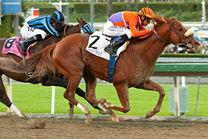 Jimmycreed1malibus2012ben298_crop_north