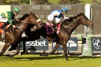 Silentio Takes Stakes Debut in G2 Sir Beaufort