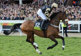 3243263861-horse-racing-2011-cheltenham-festival-day-four_crop_north