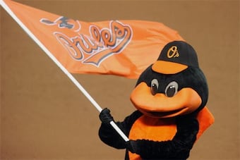 Baltimoreorioles_crop_north
