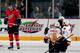 Photo courtesy of Chicagowolves.com