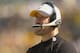 PITTSBURGH, PA - SEPTEMBER 24: Head Coach Bill Cowher of the Pittsburgh Steelers looks on during the NFL game against the Cincinnati Bengals on September 24, 2006 at Heinz Field in Pittsburgh, Pennsylvania. The Bengals won the game 28-20. (Photo by Greg Fiume/Getty Images)