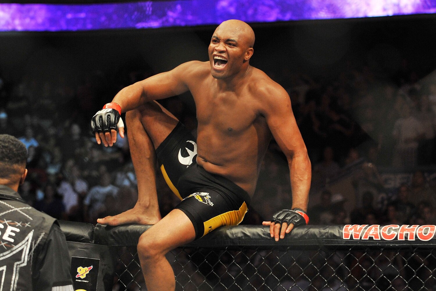 10 Greatest Knockout Artists in MMA History Bleacher Report