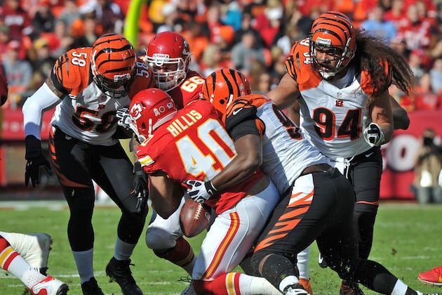 Bengals' D-Line Blossoms into One of Best