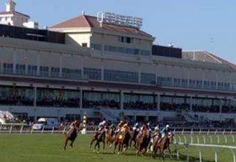 Track_gulfstream_park_crop_north