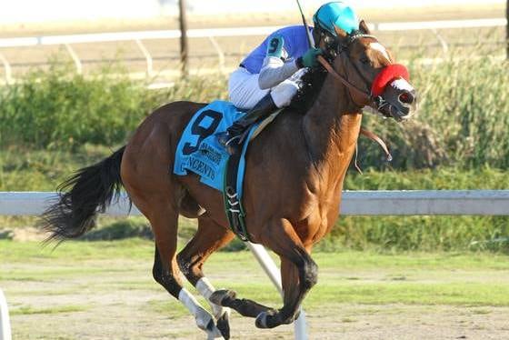 Goldencents Heads Field of 6 in Sham Stakes