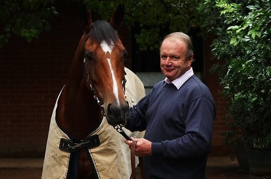 Talented Matignon Could Be Added to Trainer Guy Walter's Autumn Carnival Team