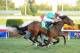 Heavenly Landing (5) nosing out La Reine Lionne in last year's Grade 3 Marshua's River. (Photo via drf.com)