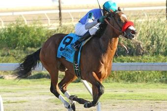 Goldencents-4_3_r560_crop_north