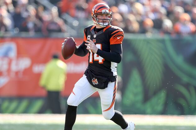 Bengals: Early Exit Would Be Viewed as Failure