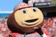 JACKSONVILLE, FL - JANUARY 02: Ohio State Buckeyes mascot Brutus watches the first half during the TaxSlayer.com Gator Bowl against the Florida Gators at EverBank Field on January 2, 2012 in Jacksonville, Florida. (Photo by Scott Halleran/Getty Images)