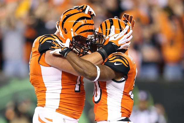Bengals Lose to Texans 19-13, Extend Futility