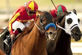 Com_130105_san_pasqual_stakes_original_crop_north