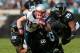 JACKSONVILLE, FL - DECEMBER 23: Wes Welker #83 of the New England Patriots dives after a catch during a game against the Jacksonville Jaguars at EverBank Field on December 23, 2012 in Jacksonville, Florida. (Photo by Mike Ehrmann/Getty Images)