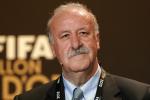 Spain's Del Bosque Named FIFA Coach of the Year 