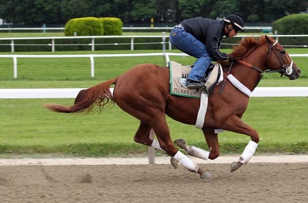 Storied Fort Erie Race Track Nears Finish Line, Up for Sale
