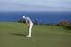KAPALUA, HI - JANUARY 08: Dustin Johnson putts on 12th hole green during the final round of the Hyundai Tournament of Champions at the Plantation Course on January 8, 2013 in Kapalua, Hawaii. (Photo by Christian Petersen/Getty Images)