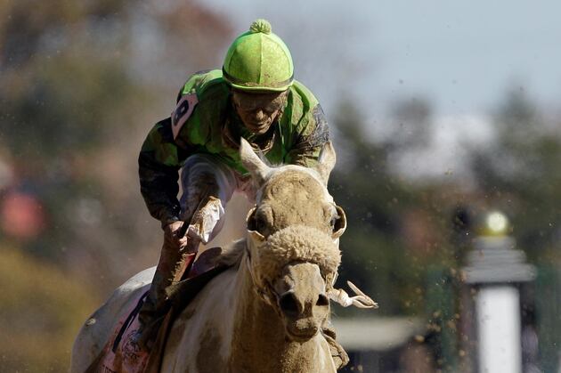 Velasquez Unhurt in Spill, Wins Big a Feature | BloodHorse.com