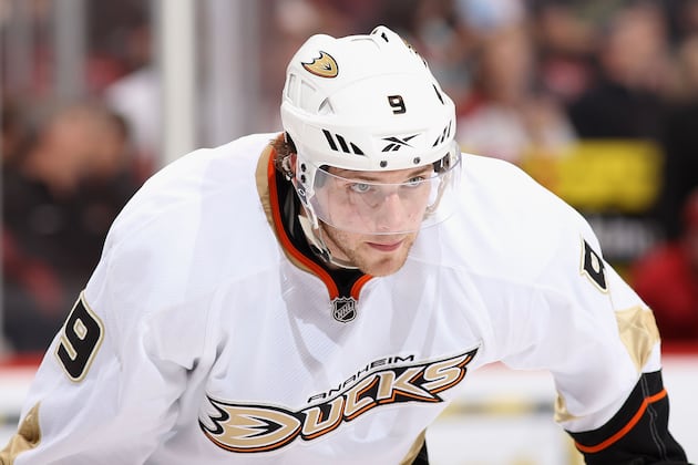 Some weren't just sitting Ducks during NHL lockout