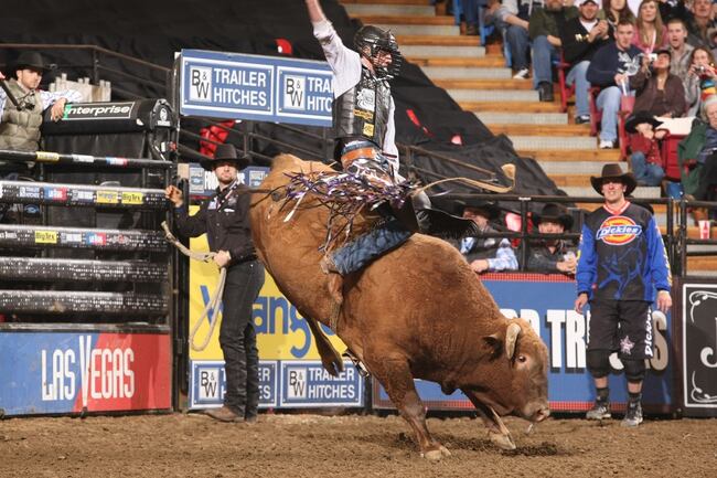 Bullrider_crop_north