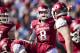 Arkansas Razorbacks QB Tyler Wilson