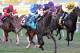 Mucho Mas Macho upsetting the Ft. Lauderdale Stakes (photo via bloodhorse.com)
