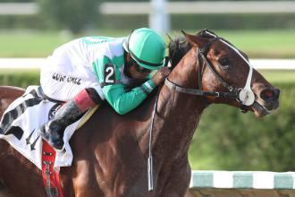 Csaba Keeps Hot Streak Alive in Hal's Hope