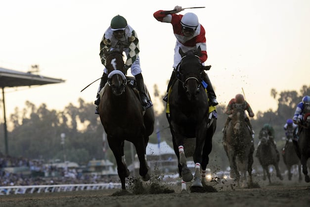 Eblouissante Set to Run Jan. 17 at Santa Anita