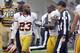 PITTSBURGH, PA - OCTOBER 28: DeAngelo Hall #23 of the Washington Redskins is ejected from the game against the Pittsburgh Steelers during the game on October 28, 2012 at Heinz Field in Pittsburgh, Pennsylvania. The Steelers defeated the Redskins 27-12. (Photo by Justin K. Aller/Getty Images)