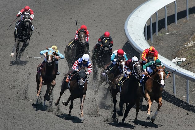 Hollywood Park Commits to Fall Racing Dates
