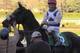Eblouissante stays perfect through a pair of starts.