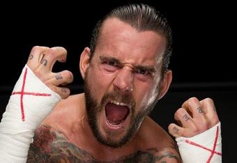 Cmpunk_crop_north