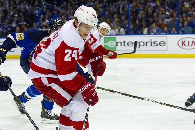 Damien Brunner's Goal Lifts Red Wings