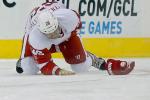 Injury-Riddled Red Wings Lose Another Defenseman