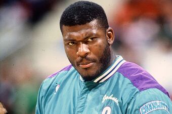 Hornets_crop_north