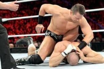 Themizcesaro_display_image_crop_north