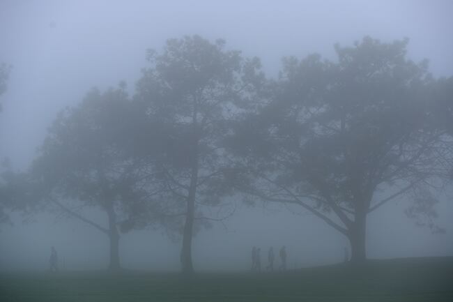 Hi-res-160099724_crop_north