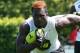 Derrick Green (via 247sports)
