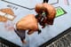 (Photo by Al Bello/Zuffa LLC/Zuffa LLC Via Getty Images)