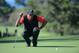 LA JOLLA, CA - JANUARY 28: Tiger Woods studies the 8th green during the Final Round at the Farmers Insurance Open at Torrey Pines Golf Course on January 28, 2013 in La Jolla, California. (Photo by Donald Miralle/Getty Images)