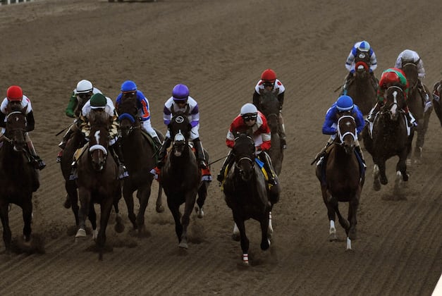Teddy's Promise an Easy Winner in G2 Santa Monica