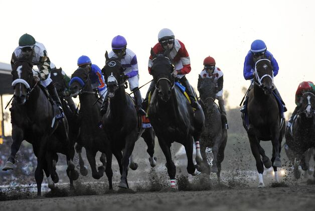 Lukas-Trained Optimizer Wins Bradley Stakes
