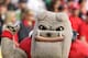 January 2, 2012; Tampa, FL, USA; Georgia Bulldogs mascot, Hairy Dawg, during the second half of the 2012 Outback Bowl against the Michigan State Spartans at Raymond James Stadium. Michigan State Spartans defeated the Georgia Bulldogs 33-30 in triple overtime. Mandatory Credit: Kim Klement-USA TODAY Sports