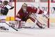 Coyotes goalie Mike Smith recorded his 20th NHL shutout against Dallas on Feb. 2.