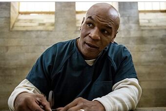 Tyson_crop_north