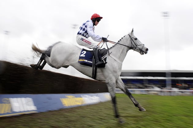 Henderson Reveals Simonsig Will Miss Key Cheltenham Festival Prep Race