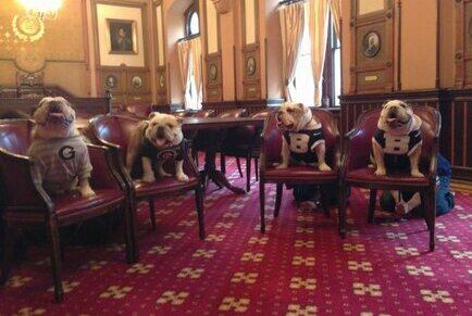 Georgetown and Butler Bulldogs: Adorable Meeting (PHOTOS)