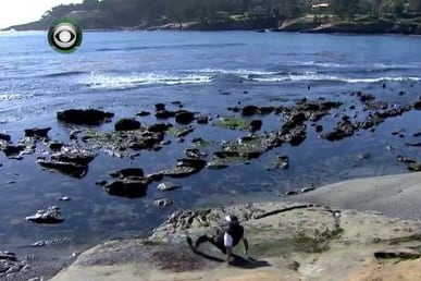 VIDEO: Phil Mickelson Wipes out on the Rocks at Pebble Beach