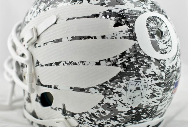Camo_crop_north