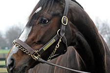 Rachelalexandraheadshotae225_crop_north